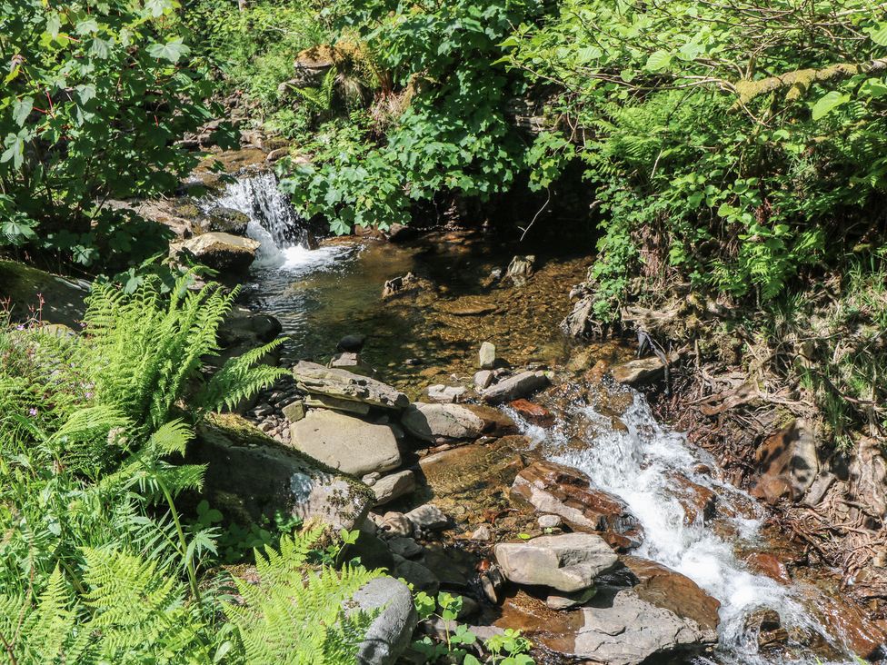 A stream with rocks and ferns at Daffodil Cottage Blaencwm near Treorchy