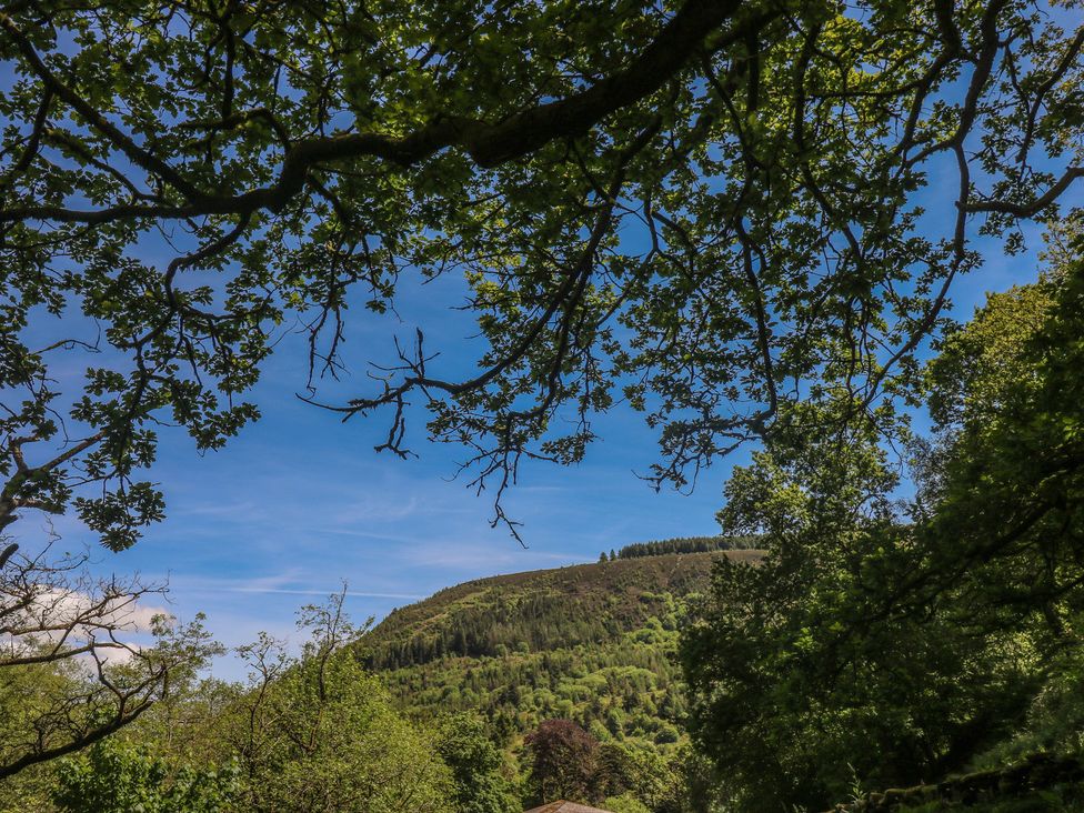 View of trees and a hill under a clear sky at Daffodil Cottage in Blaencwm near Treorchy