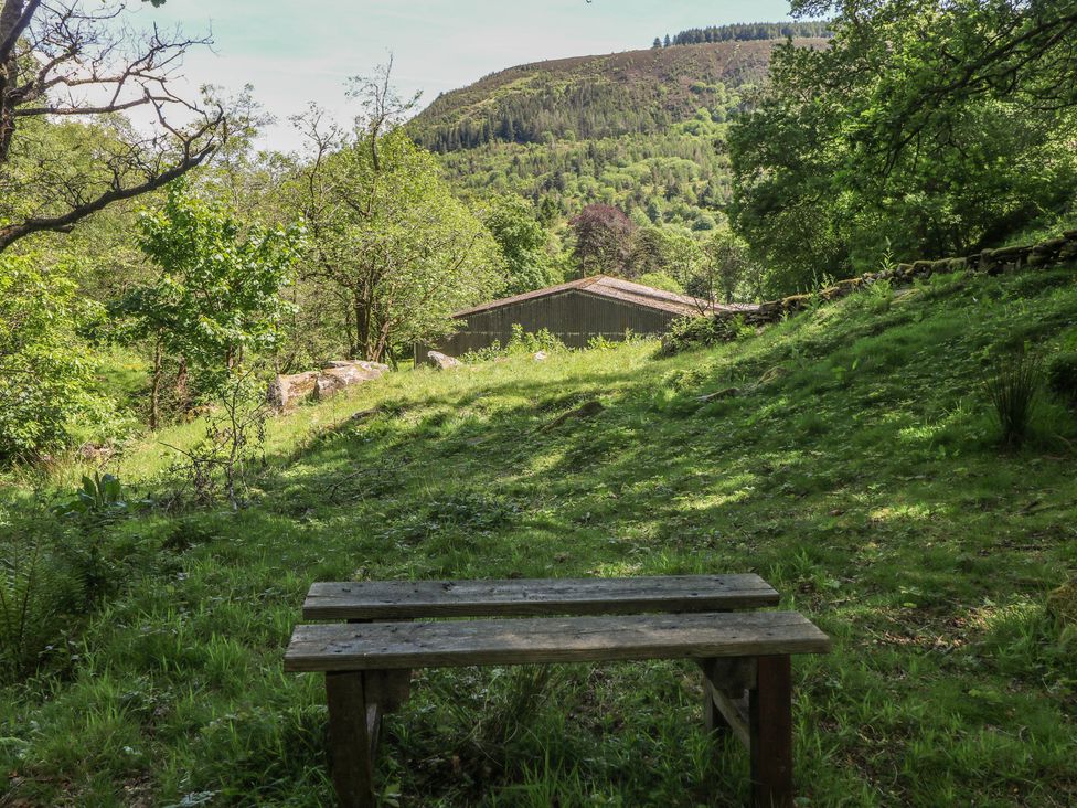 A garden scene with a bench and shed in Daffodil Cottage near Blaencwm