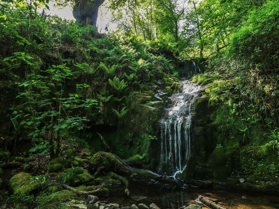 A waterfall surrounded by trees and ferns at Daffodil Cottage in Blaencwm near Treorchy
