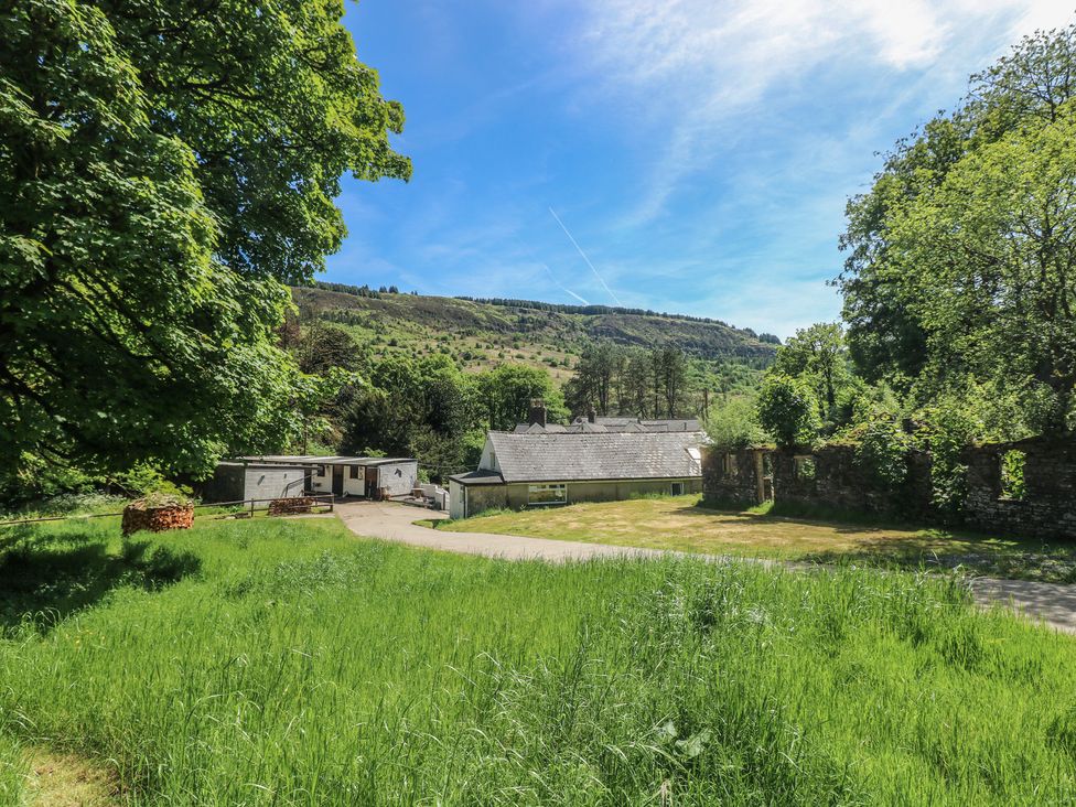 A house surrounded by trees and grass at Daffodil Cottage in Blaencwm near Treorchy