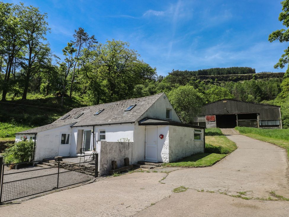 A house and shed with trees in the background at Daffodil Cottage Blaencwm near Treorchy