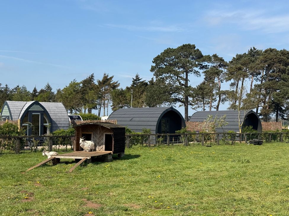 An outdoor area with cabins and a goat at Starlight Sanctuary near Rillington