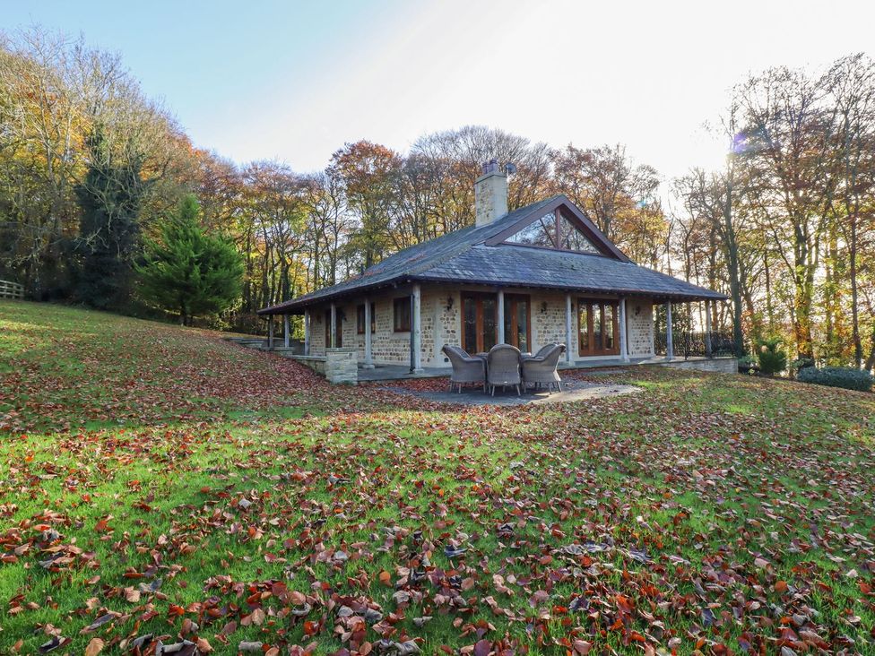 A house with a patio and chairs surrounded by trees and fallen leaves at Sandy Gate in Knaresborough