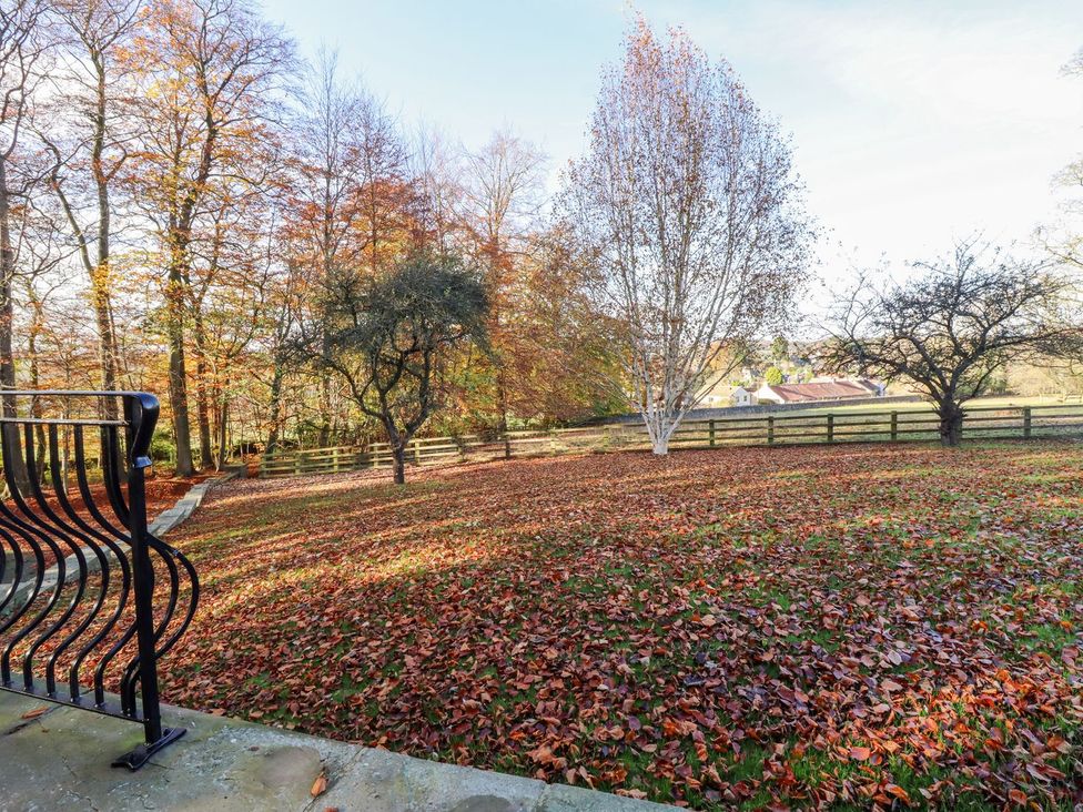 A garden with fallen leaves and trees at Sandy Gate in Knaresborough