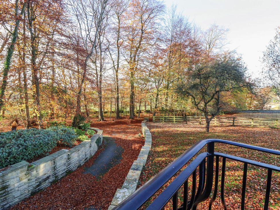 An outdoor view of trees and a pathway at Sandy Gate in Knaresborough