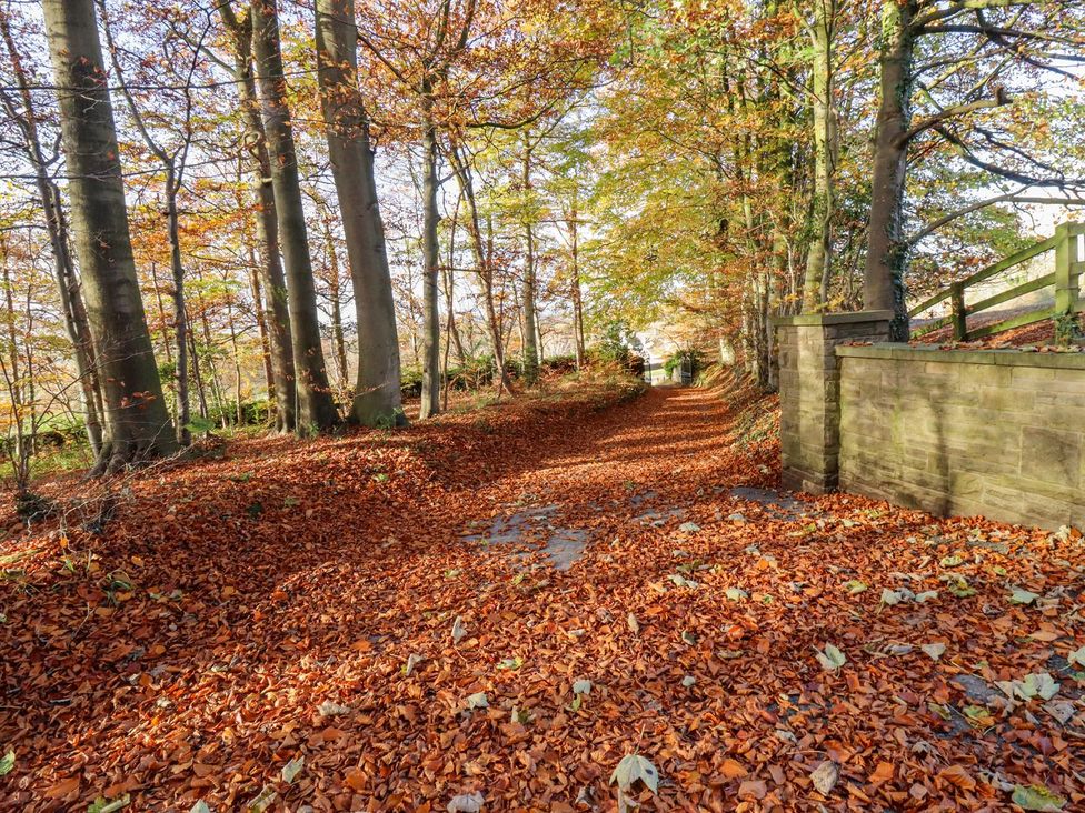 A pathway covered with fallen leaves between trees at Sandy Gate in Knaresborough