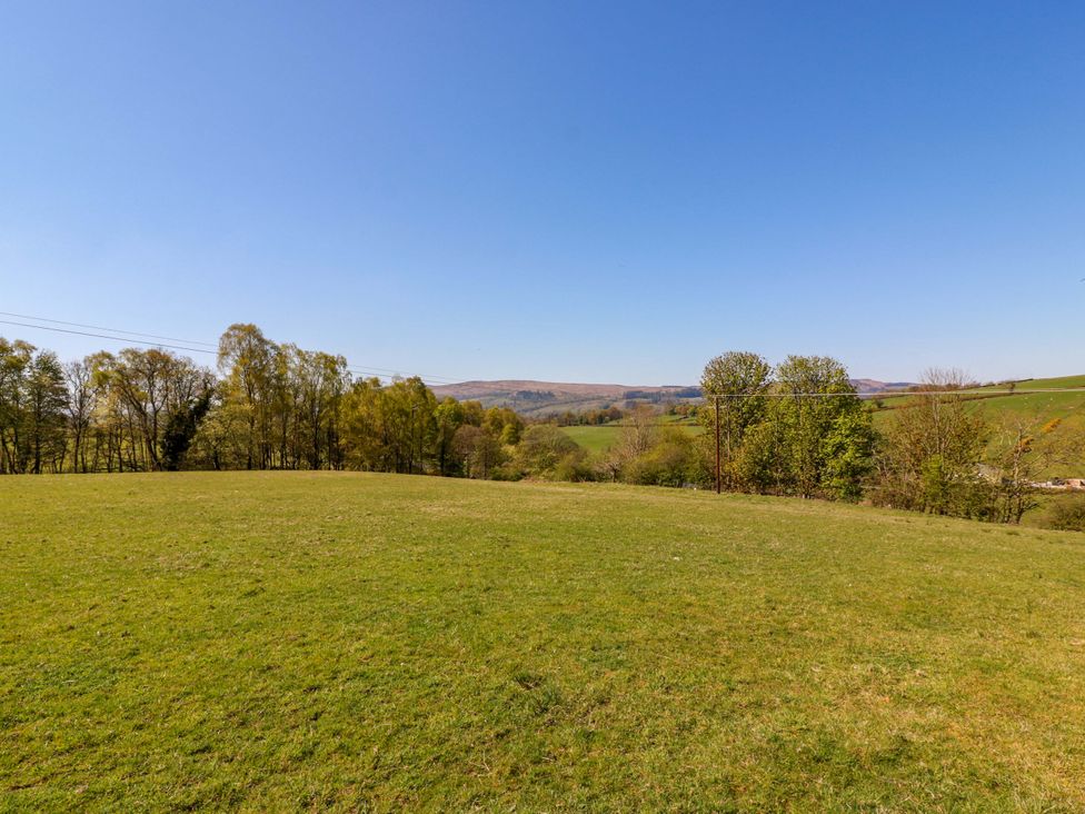 A view of open grassland and trees at Ballaganlea in Alexandria