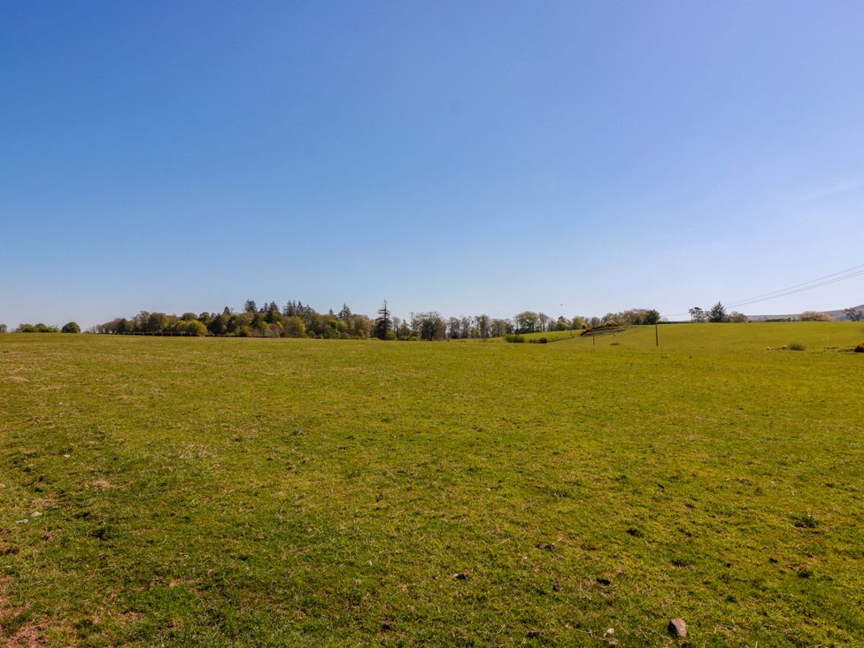 A field with grass and trees at Ballaganlea in Alexandria