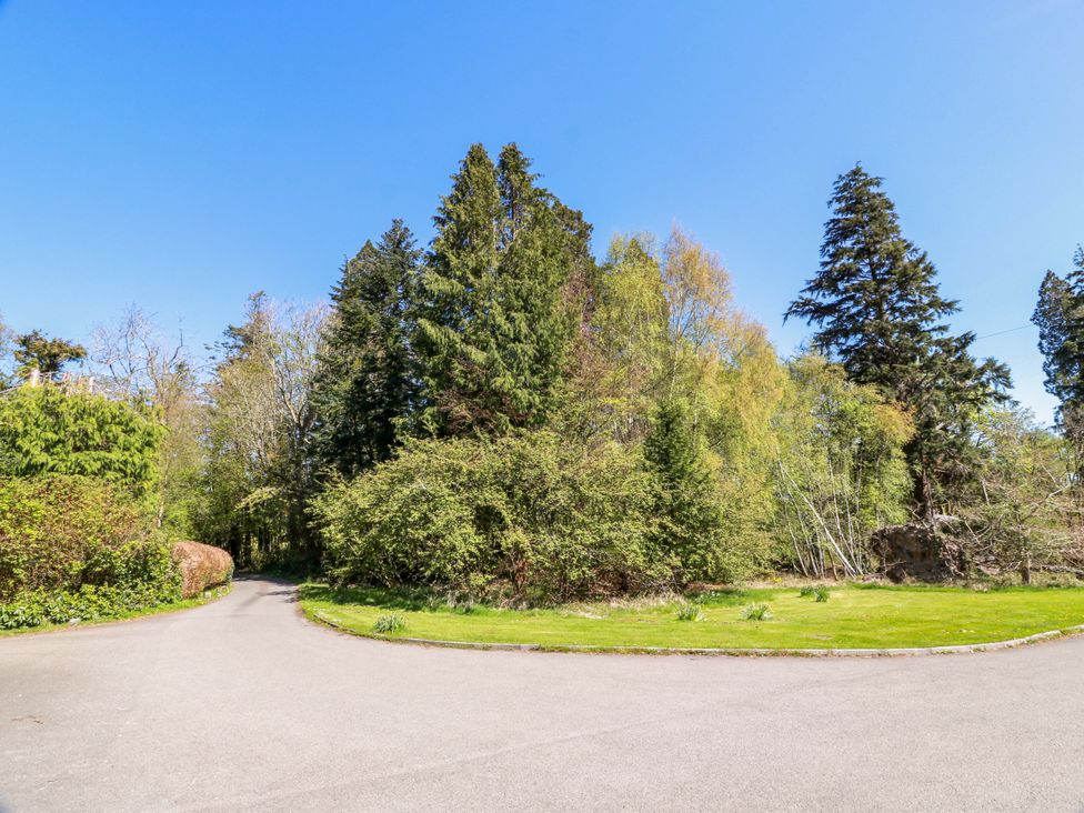 A pathway surrounded by trees and bushes at Castle House Lodge in Glasgow