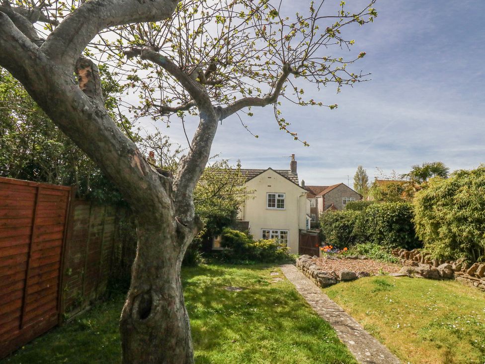 A garden with a tree and a house in the background at 12 West Street Weymouth