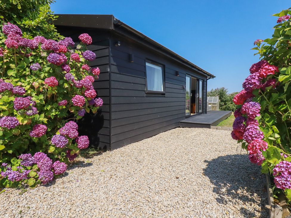 A house with flowers and a path at Wisteria Lodge in Redruth