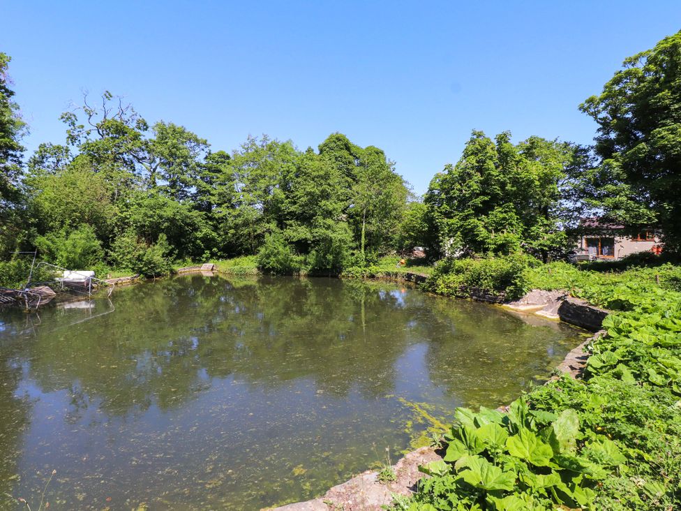 A pond surrounded by trees and grass at Woodman's Lodge Llanallgo near Moelfre