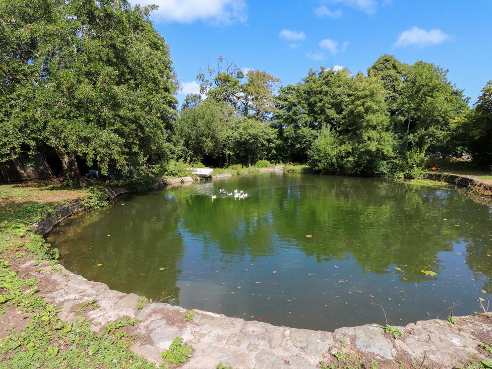 A pond surrounded by trees at Woodman's Lodge in Llanallgo near Moelfre