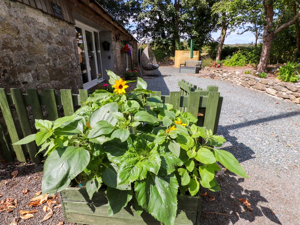 A flower pot with sunflower in an outdoor area at Woodman's Lodge Llanallgo near Moelfre