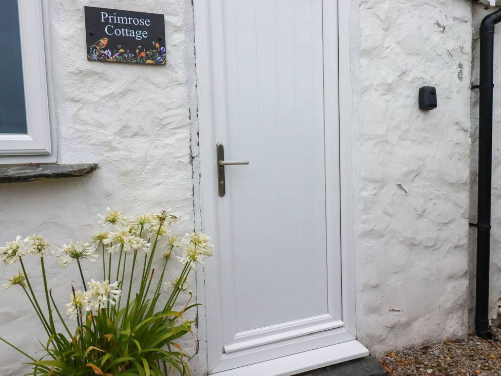 A front door and plant at Primrose Cottage in Redruth