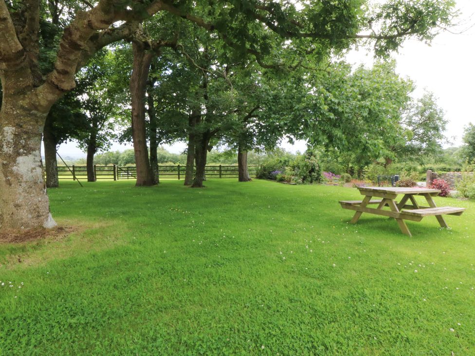 A garden with trees and a picnic table at Cil Y Coed in Star near Llanfairpwllgwyngyll
