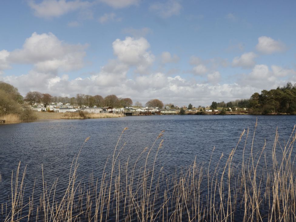 A lake with grass and reeds near caravan park at Standard Caravan at Three Lochs Holiday Park, Newton Stewart