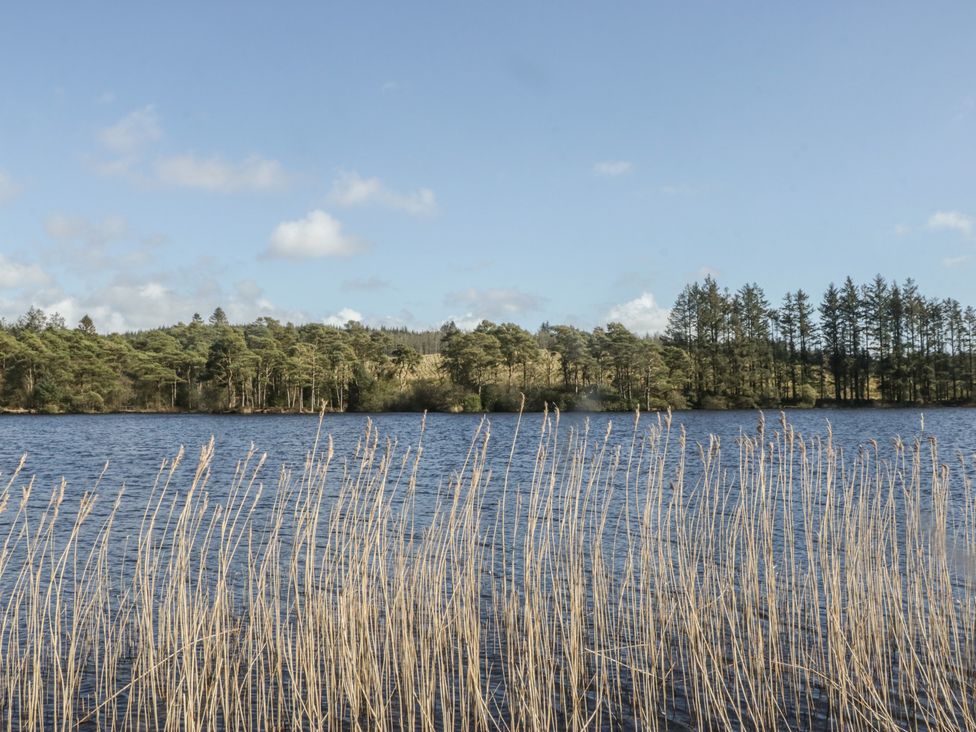 A lake with reeds and trees at Lochwood Platinum Superior at Three Lochs Holiday Park in Newton Stewart