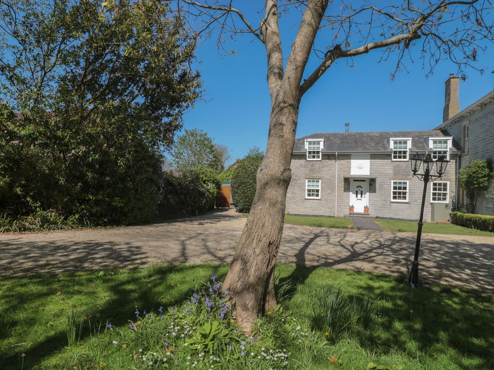 A house with a tree and lamp post in front at The Little Vicarage in Highbridge