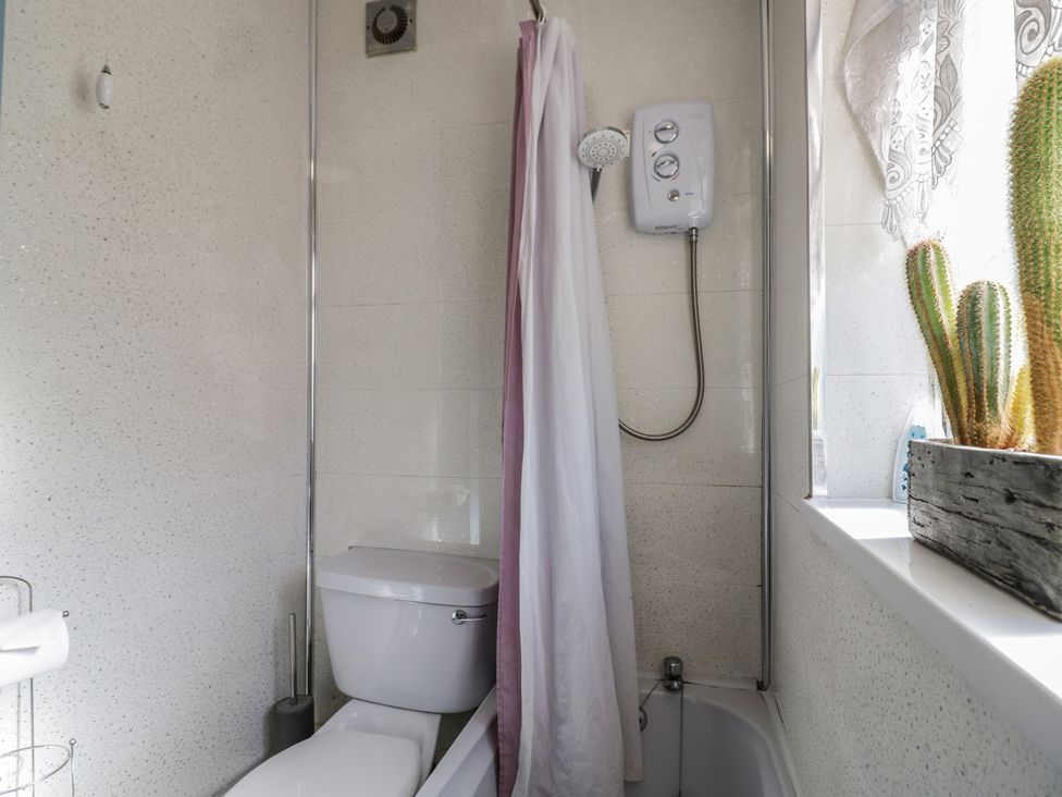 A bathroom with a bathtub, toilet, shower, and a cactus at 32B Cramp Hill Darlaston