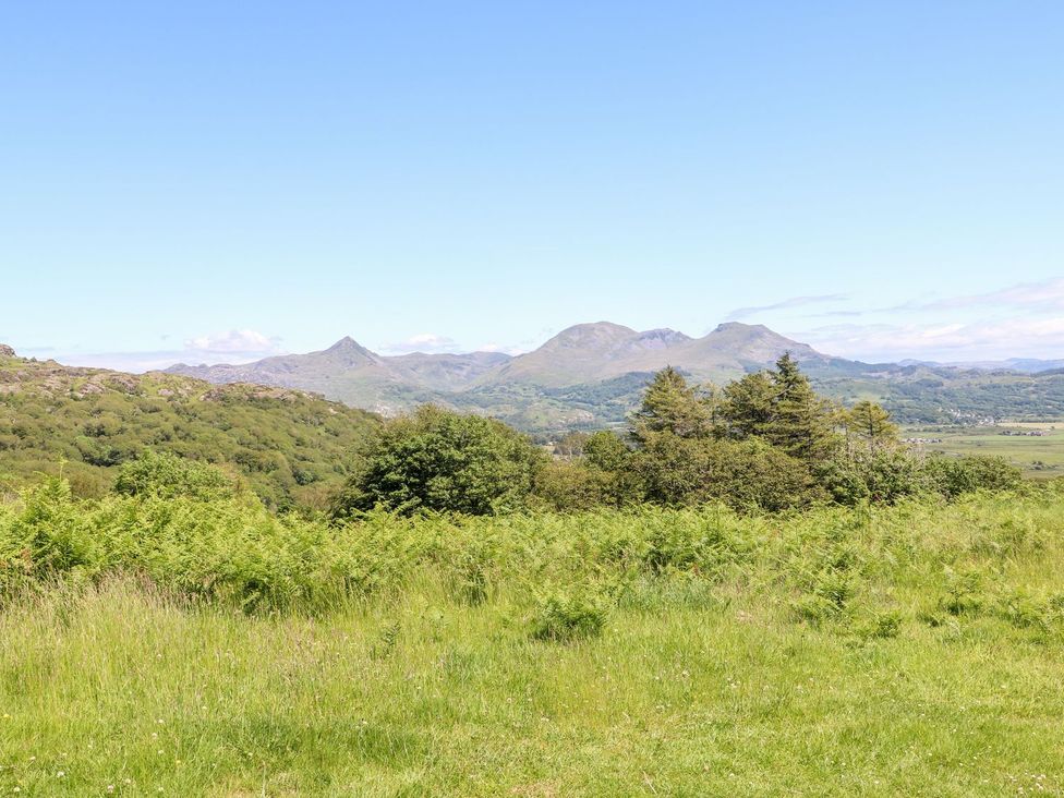 A view of mountains and trees with grass at 2 Bryn Eglwys in Prenteg