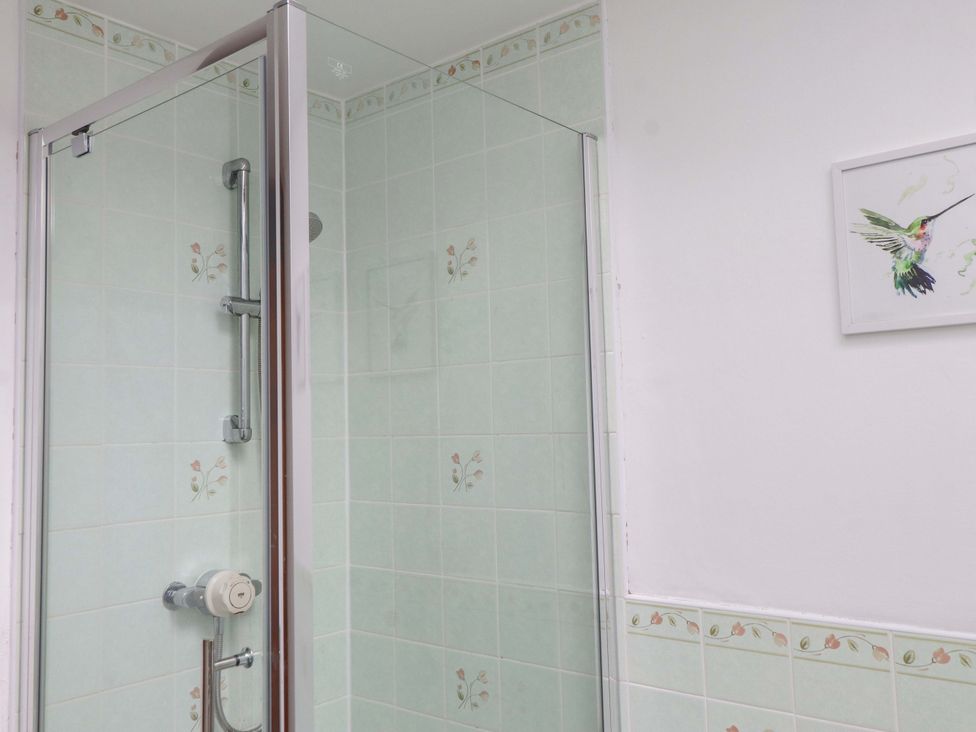 A shower with tiled walls and a bird painting at 2 Bryn Eglwys Prenteg