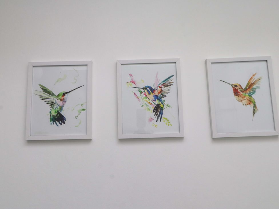 Three framed artworks of hummingbirds at 2 Bryn Eglwys Prenteg