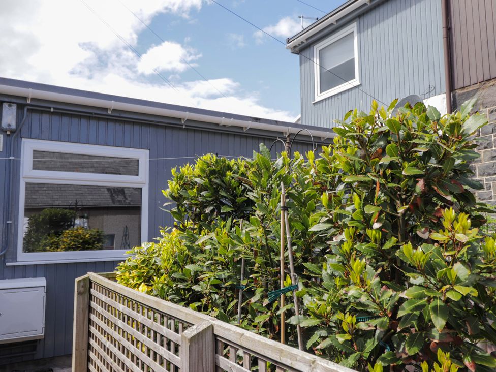 A garden with bushes and a building at 4A Carny Street Macduff