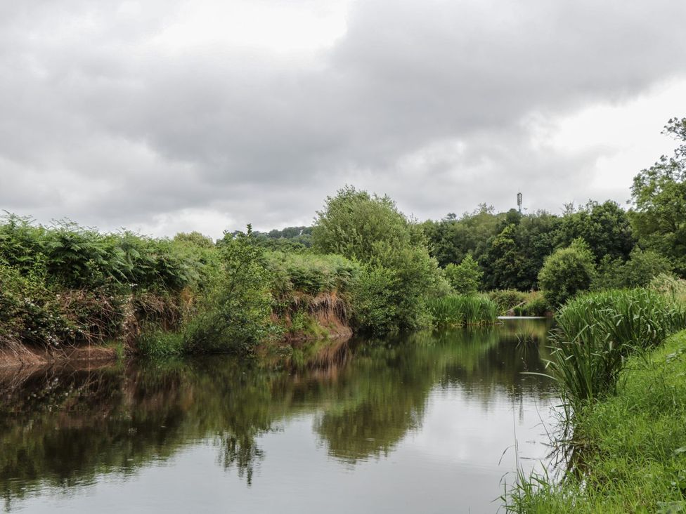 A river surrounded by vegetation at Copper Suite, Chulmleigh