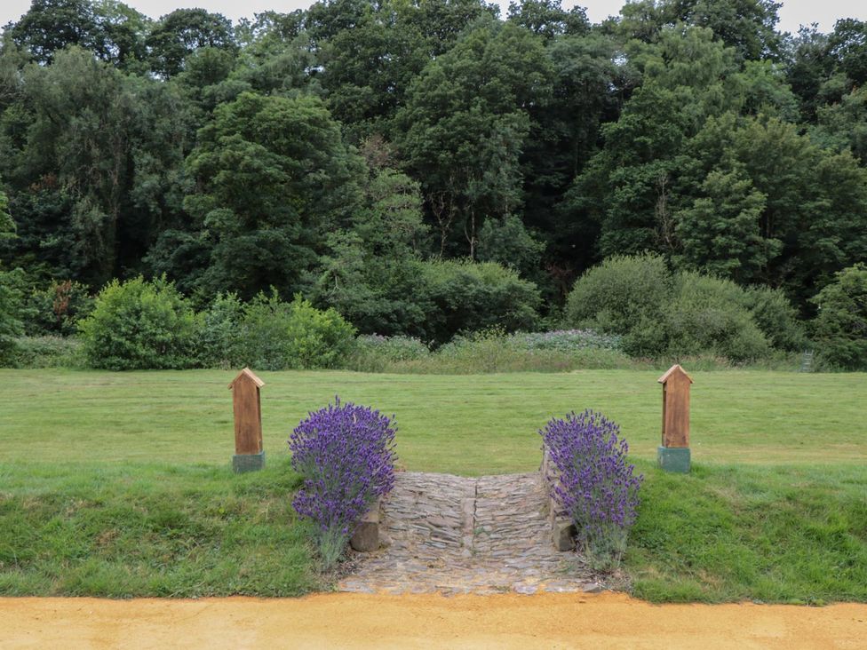 A garden with lavender and a pathway at Copper Suite in Chulmleigh