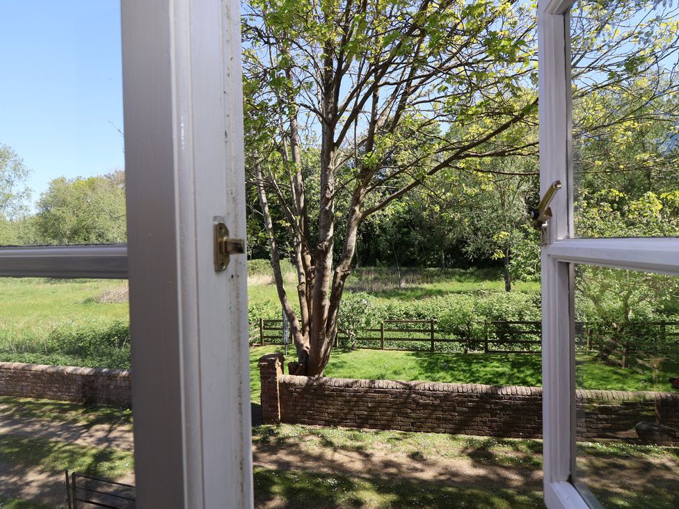 A view from a window showing a tree and grass at Walk House in Gloucester