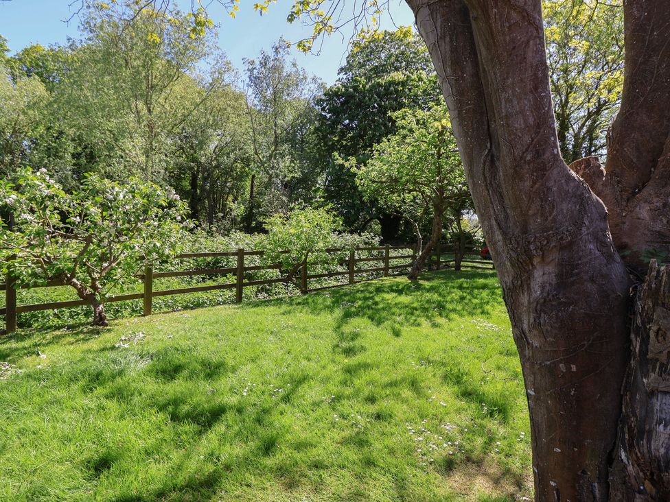 A garden with trees and grass at Walk House in Gloucester