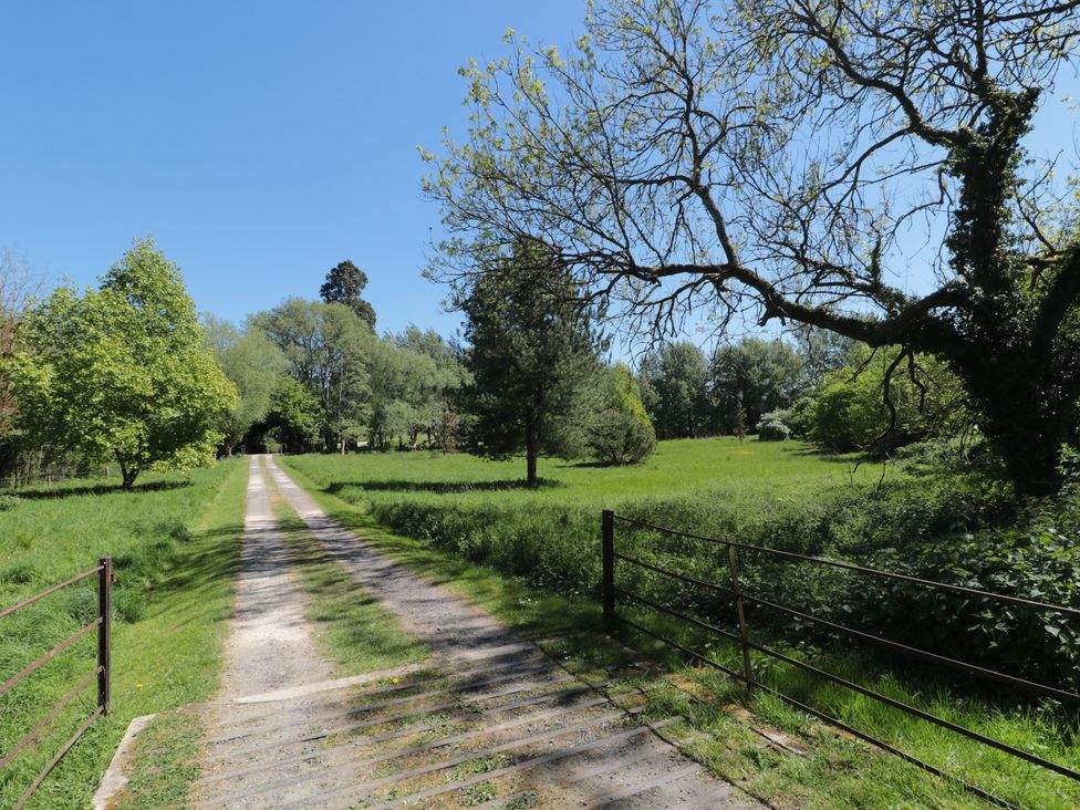 A dirt road leading through trees at Walk House in Gloucester