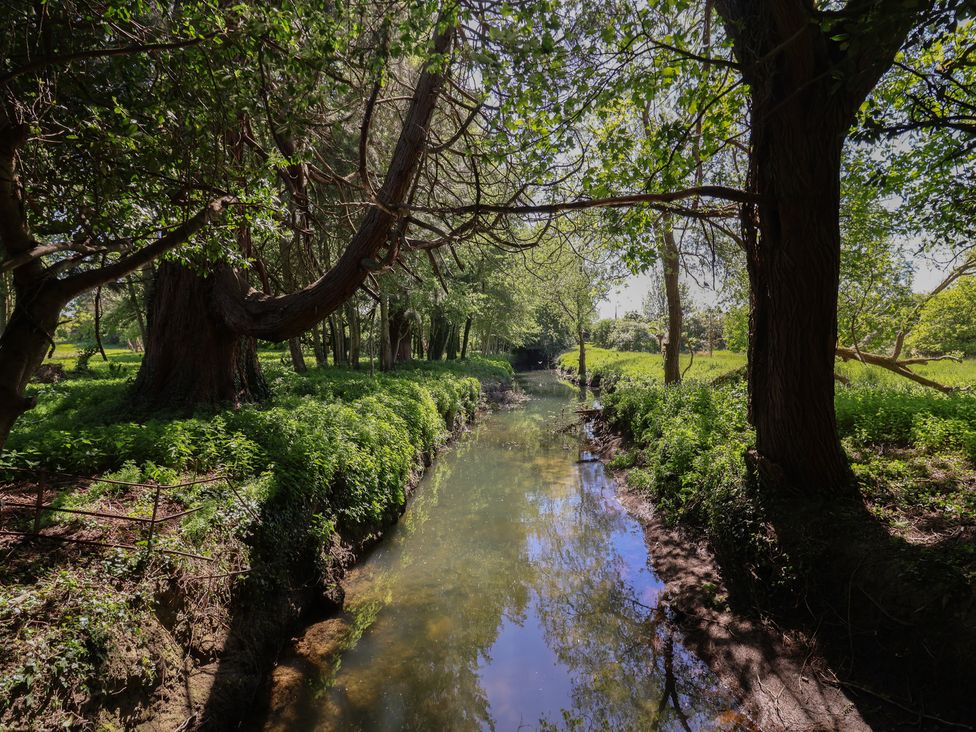 A stream surrounded by trees and grass at Walk Close in Gloucester