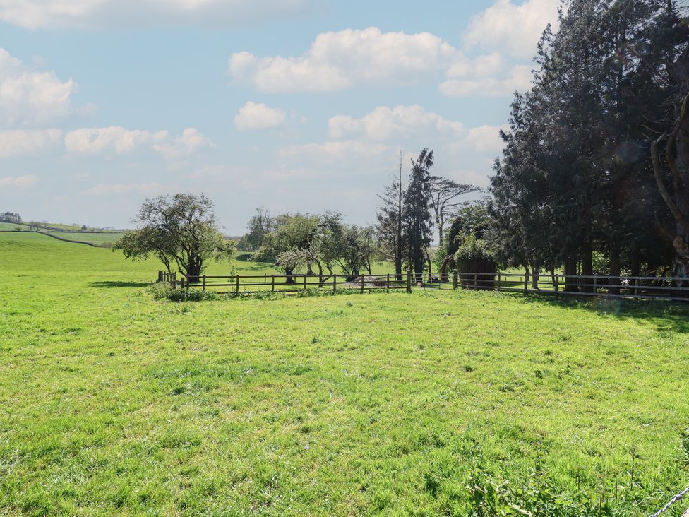 A green field with trees and a fence at Willow in Barnstaple