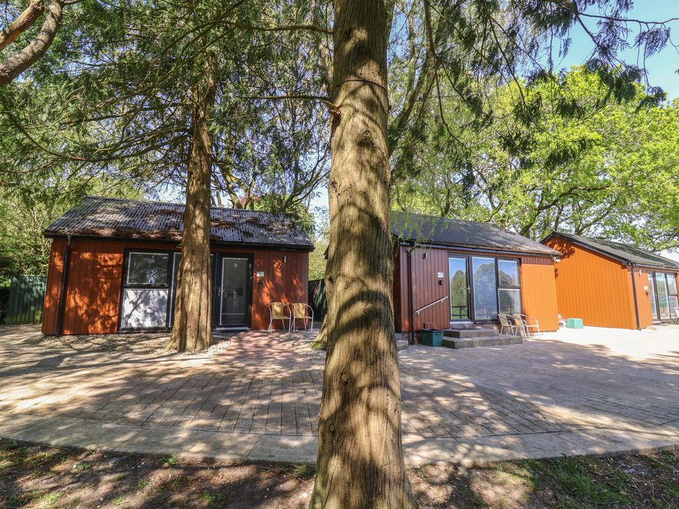 Two buildings with patio and trees at Willow in Barnstaple