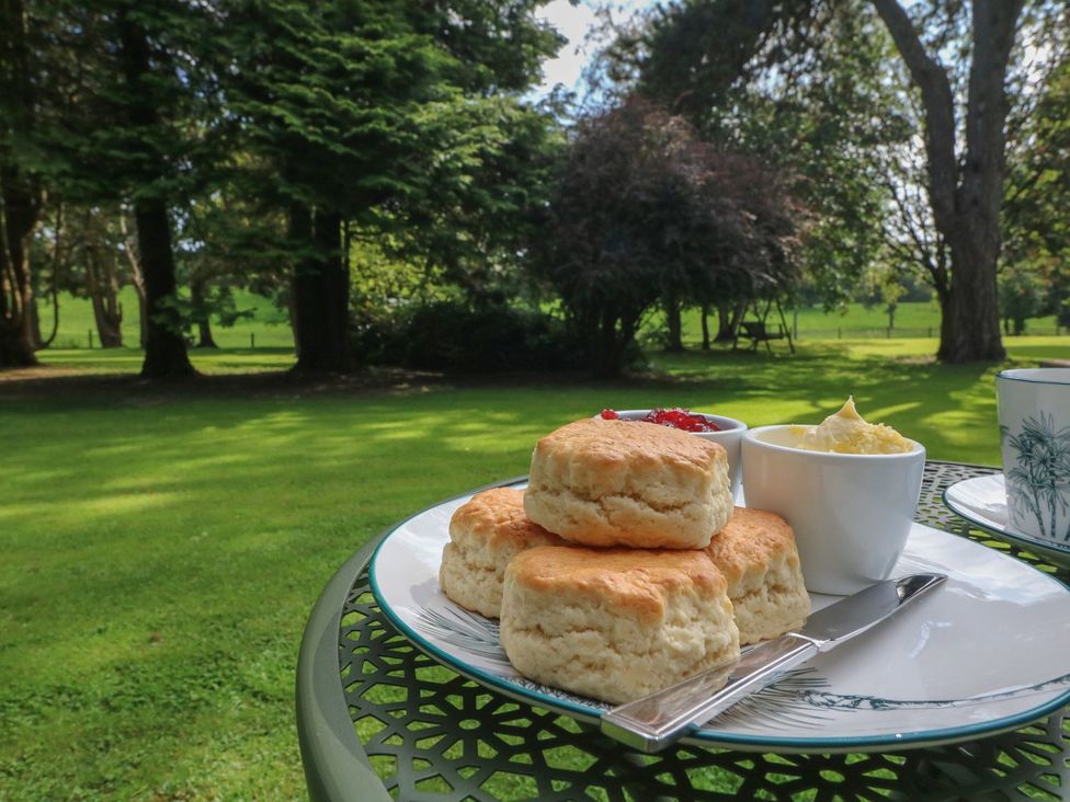 Scones with jam and cream on a table in an outdoor area at Willow in Barnstaple