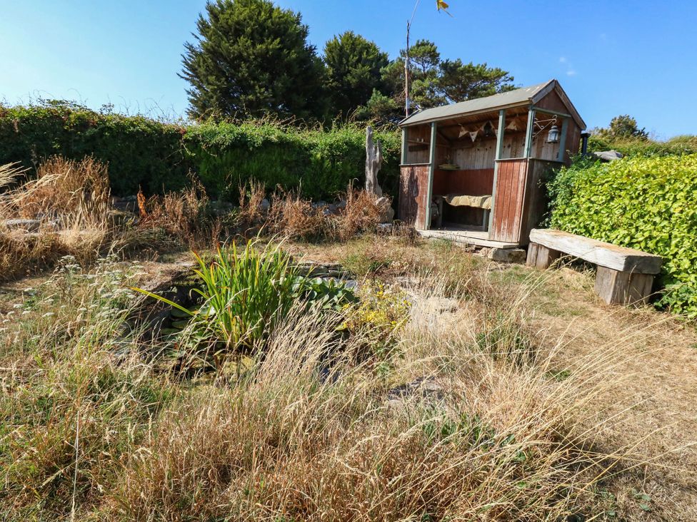 A garden with a shed and plants at Dunvant in Swanage