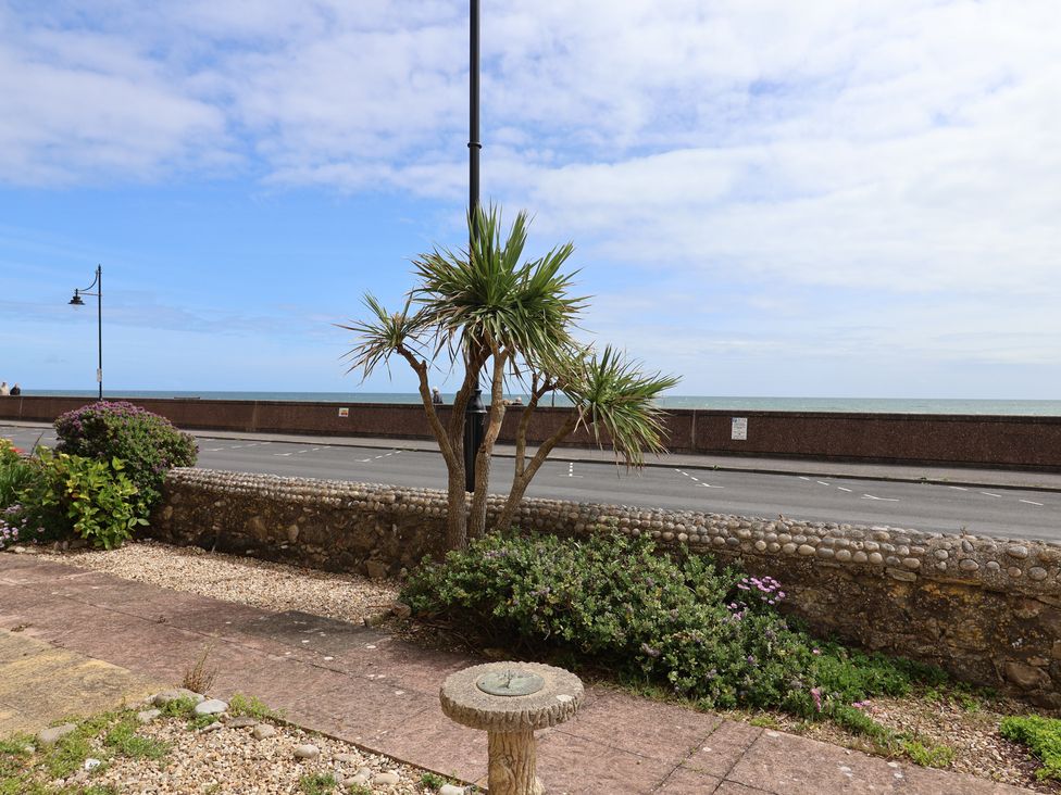 A view of palm trees and flowering plants near the seaside wall at 2 Lyme Mews Seaton