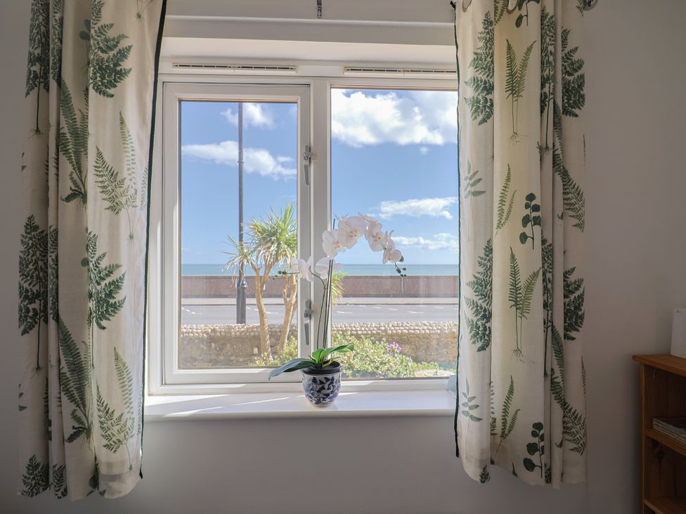 A window with an orchid plant and curtains at 2 Lyme Mews Seaton