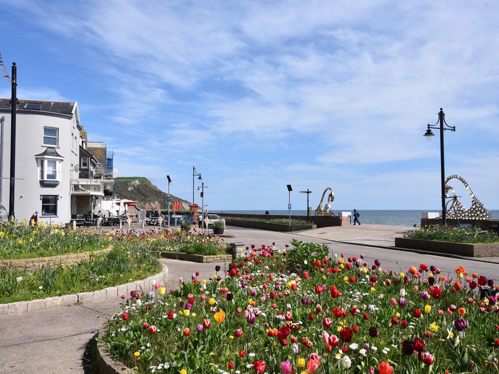 A seaside view with flowers and a building at 2 Lyme Mews Seaton