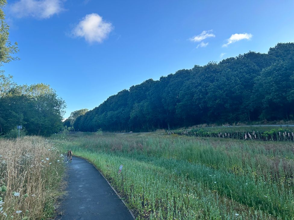 A path surrounded by grass and trees in a park at The Lodge in Brighouse