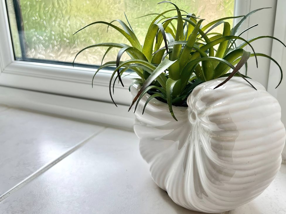 A decorative shell-shaped pot with a plant at Hydrangea Cottage in Tregrehan Mills near St. Austell