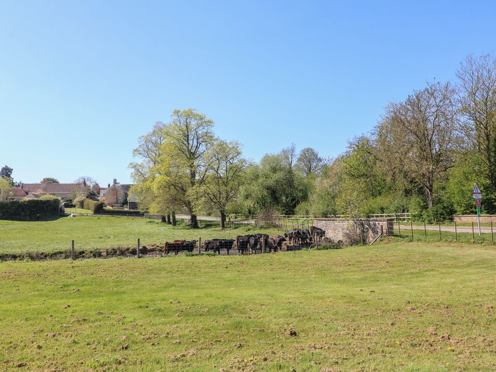 A field with cows and trees near a house at Gardener’s Cottage in Oakham
