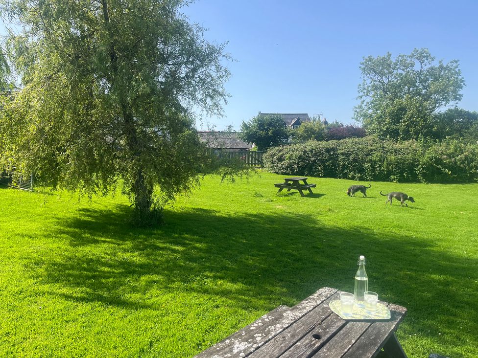 A garden with a picnic table and dogs at Starling Cottage near Cowbridge