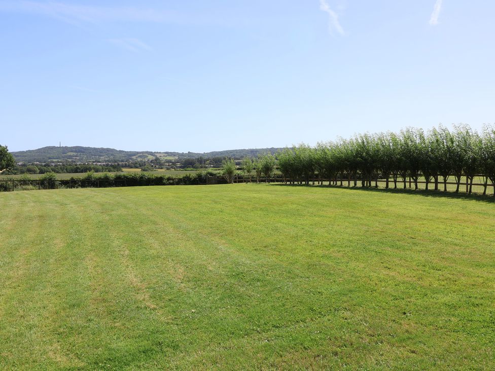 A garden with grass and trees at Little Owl Barn in Wellington