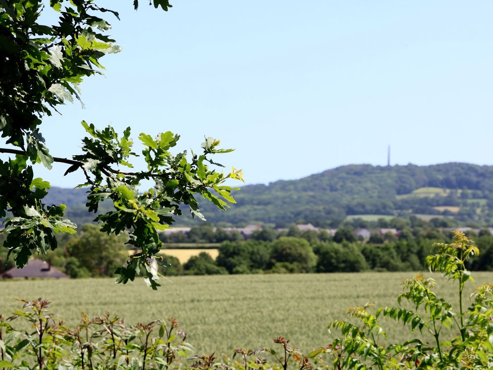 A view of trees and fields with a hill in the background at Little Owl Barn, Wellington