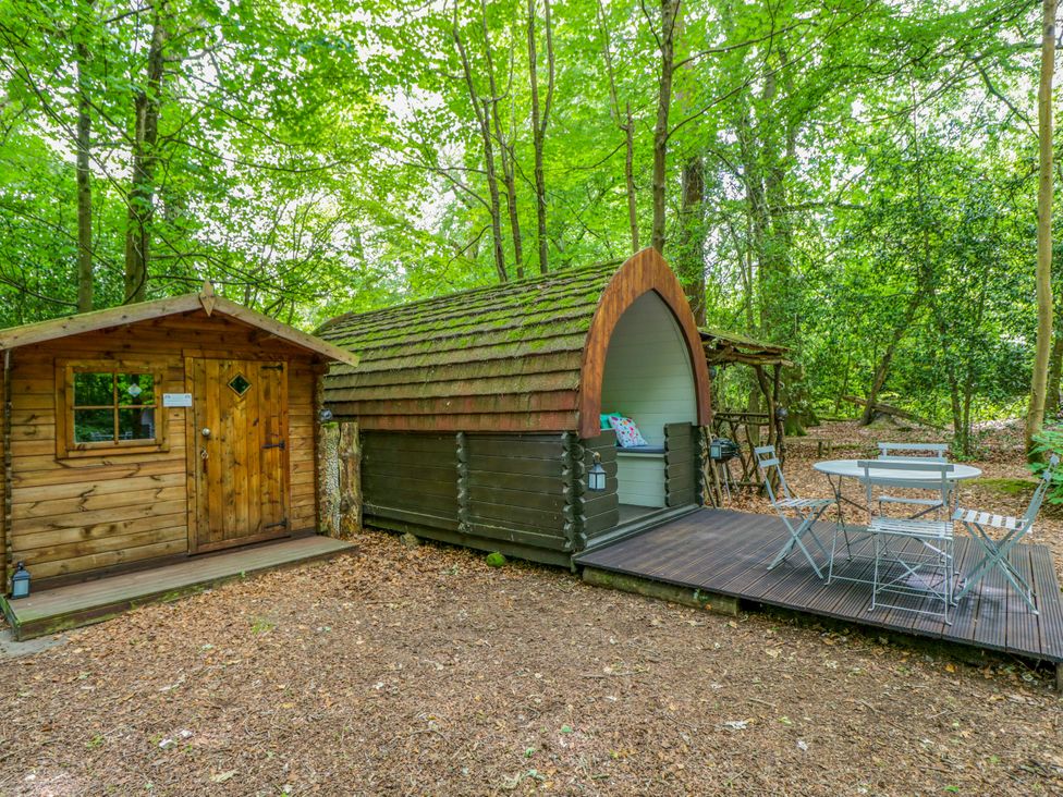 Wooden cabin and glamping pod in a forest area at Bluebell Glamping Pod in Woolton Hill