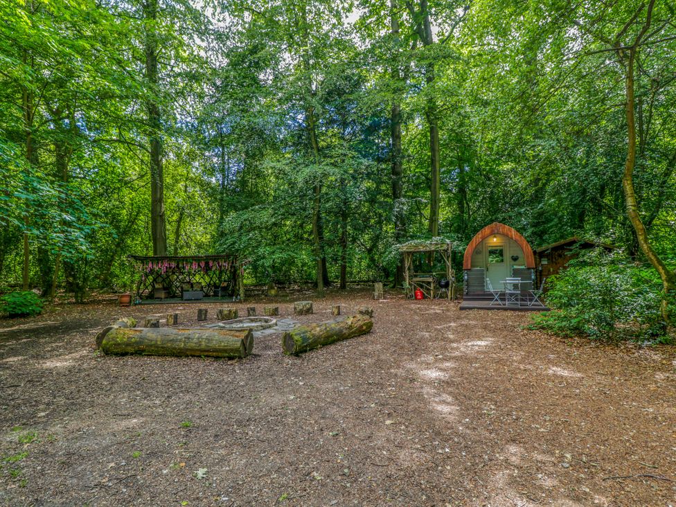 An outdoor area with seating logs and a glamping pod at Bluebell Glamping Pod in Woolton Hill